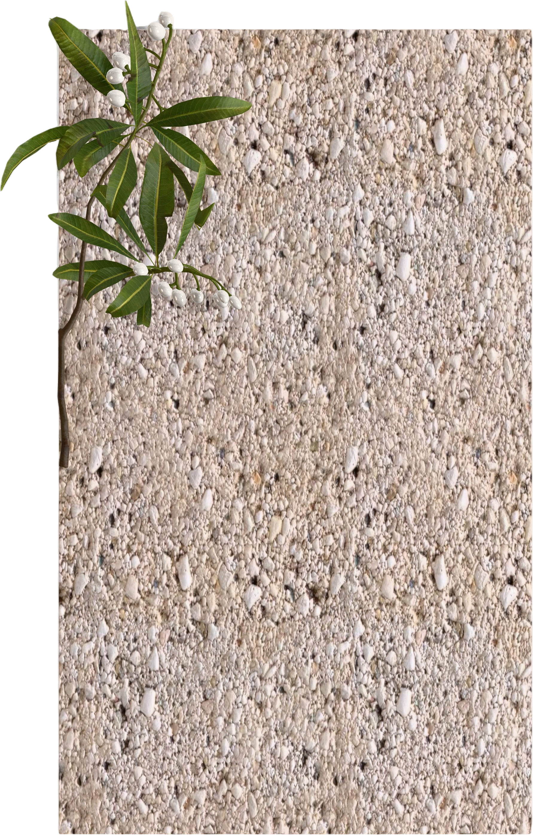 Moodbooard & Materials